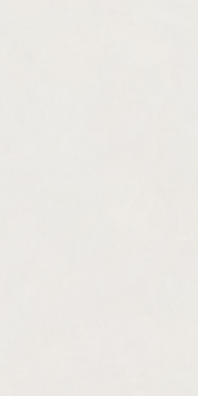 ARCTIC GREYISH WHITE